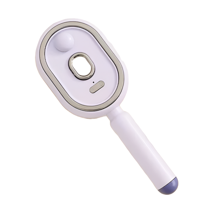 Cordless Steam Hair Straightener Brush